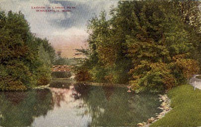 Lagoon in Loring Park - Minneapolis, Minnesota MN Postcard