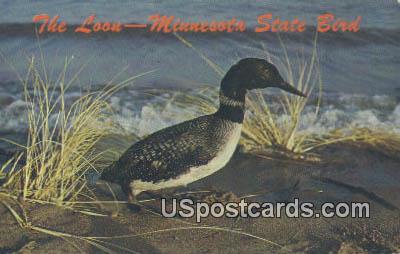State Bird, Loon - Misc, Minnesota MN Postcard