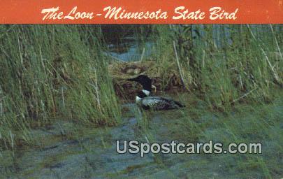 State Bird, Loon - Misc, Minnesota MN Postcard
