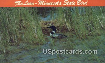 The Loon, State Bird - Misc, Minnesota MN Postcard