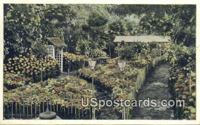 Missouri Botanical Garden - St. Louis Postcard