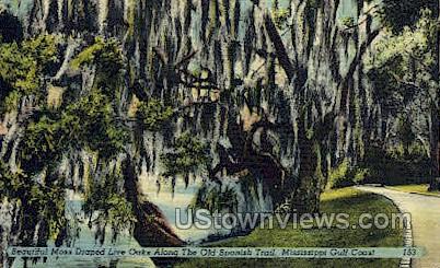 The Old Spanish Trail - Gulf Coast, Mississippi MS Postcard