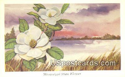 Magnolia - State Flower, Mississippi MS Postcard
