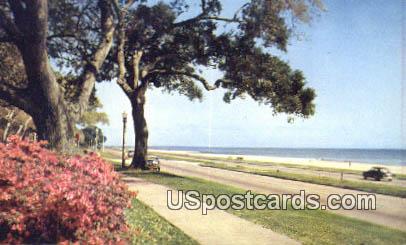Mississippi Gulf Coast - Biloxi Postcard