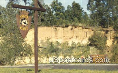 Natchez Trace Parkway - Loess Bluff, Mississippi MS Postcard