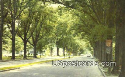 Grand Boulevard - Greenwood, Mississippi MS Postcard