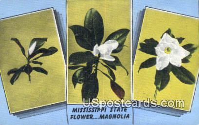 Magnolia - State Flower, Mississippi MS Postcard