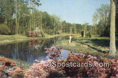 Lagoon at Beauvoir, Jefferson Davis Shrine - Biloxi, Mississippi MS Postcard
