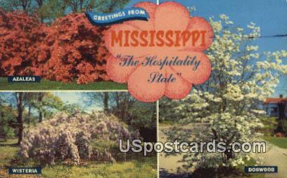 Greetings from MS, Postcard       ;       Greetings from Mississippi,