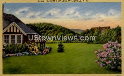 Summer Cottages - Linville, North Carolina NC Postcard