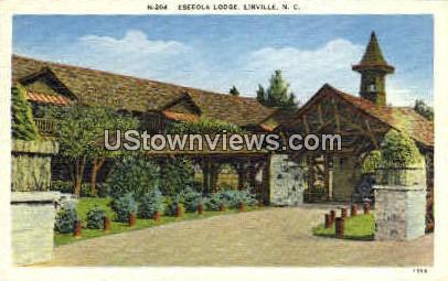 Eseeola Lodge - Linville, North Carolina NC Postcard