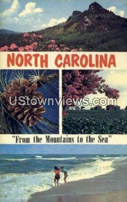 Grandfather Mountain, North Carolina, NC, Postcard
