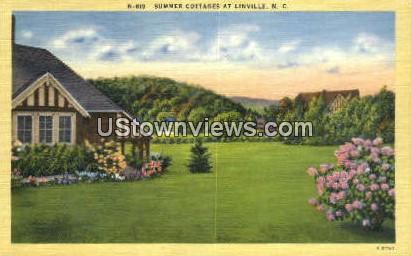 Summer Cottages - Linville, North Carolina NC Postcard
