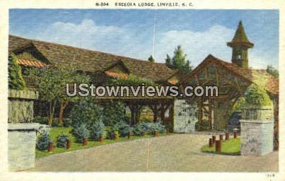 Eseeola Lodge - Linville, North Carolina NC Postcard