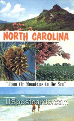 Grandfather Mountain, NC Postcard      ;      Grandfather Mountain, - North Carolina NC