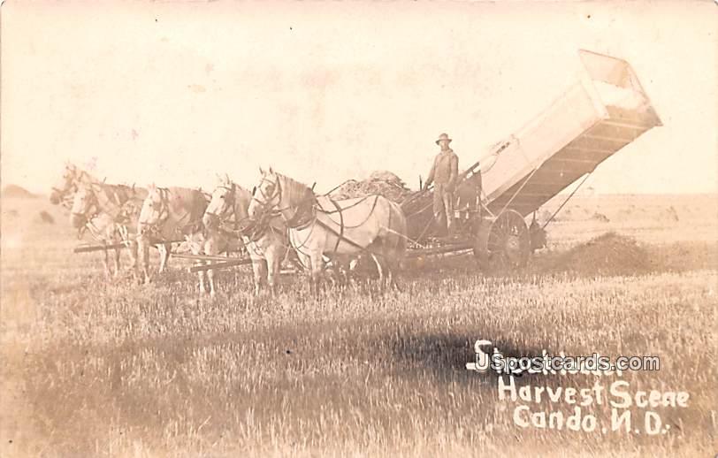 Shockloadeer - Cando, North Dakota ND Postcard