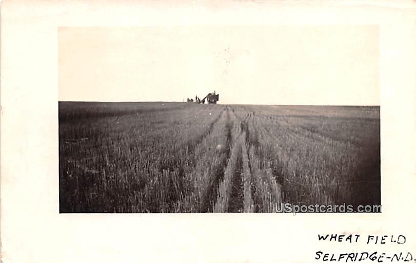 Wheat Field - Selfridge, North Dakota ND Postcard