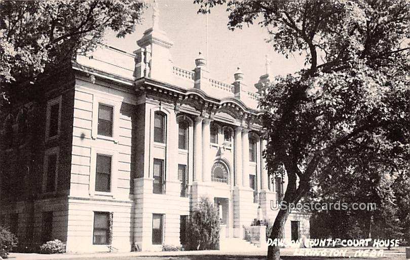 Dawson County Court House - Lexington, Nebraska NE Postcard