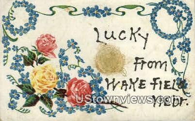 Lucky From - Wakefield, Nebraska NE Postcard