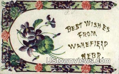 Best of Wishes From - Wakefield, Nebraska NE Postcard