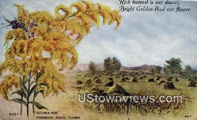 Golden Rod - Misc, Nebraska NE Postcard