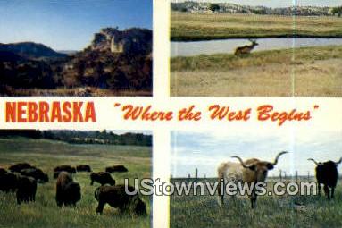 Wild Cat Hills - Scottsbluff, Nebraska NE Postcard