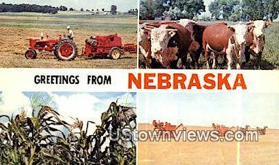 Greetings from, Nebraska,     :          Greetings from, NE Postcard