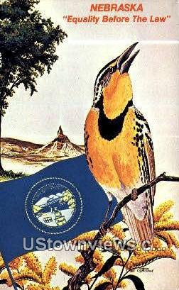 State Bird, Nebraska,     :          State Bird, NE Postcard