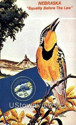 State Bird, Nebraska,     :          State Bird, NE Postcard