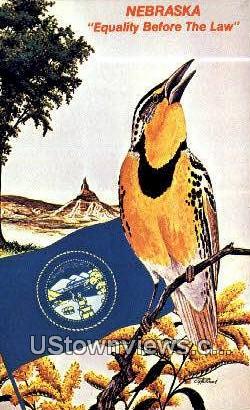 State Bird, NE,     :     State Bird, Nebraska Postcard