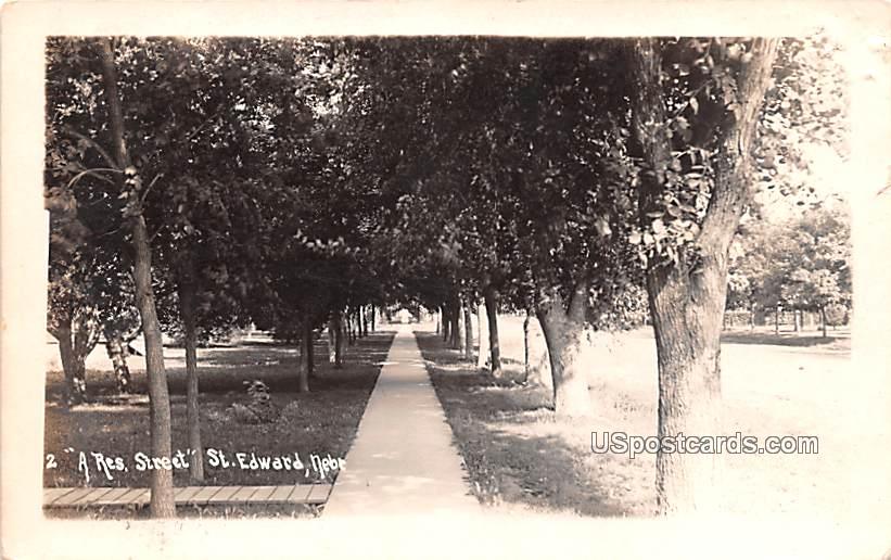 A Residence Street - Saint Edward, Nebraska NE Postcard