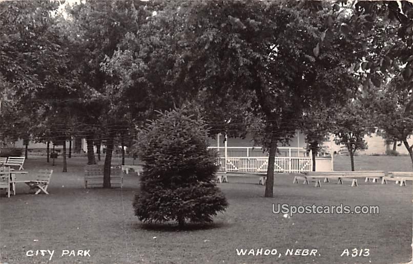 City Park - Wahoo, Nebraska NE Postcard