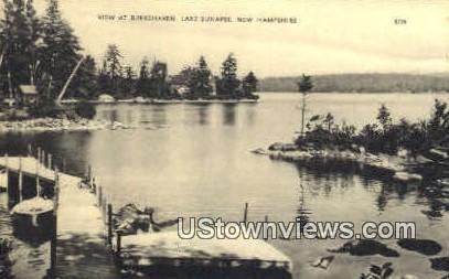 Burkehaven - Lake Sunapee, New Hampshire NH Postcard
