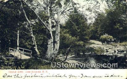 Lover's Lane - Lake Sunapee, New Hampshire NH Postcard