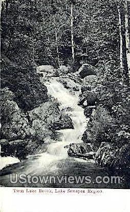 Twin Lake Brook - Lake Sunapee, New Hampshire NH Postcard