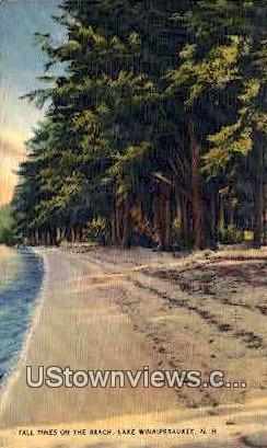 Tall Pines on Beach - Lake Sunapee, New Hampshire NH Postcard