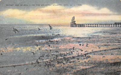 Sunset and Seagulls on the Atlantic Atlantic City, New Jersey Postcard
