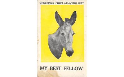 Greetings from Atlantic City My Best Fellow New Jersey Postcard