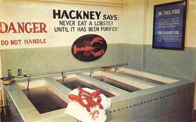 Hackney's  Atlantic City, New Jersey Postcard