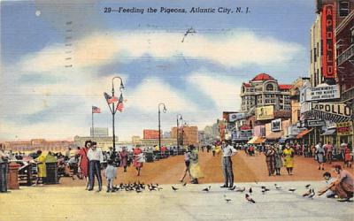 Feeding the Pigeons Atlantic City, New Jersey Postcard