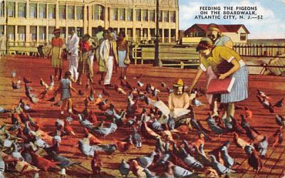Feeding the Pigeons on the Boardwalk Atlantic City, New Jersey Postcard
