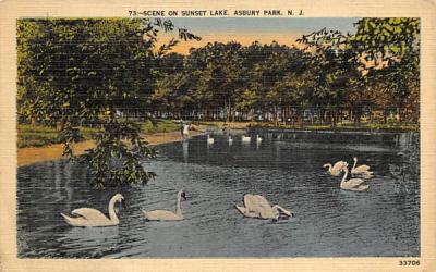 Scene on Sunset Lake Asbury Park, New Jersey Postcard