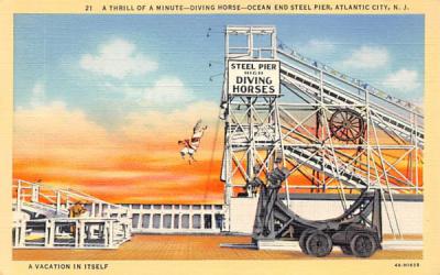 Minute-Diving Horse_Ocean End Steel Pier Atlantic City, New Jersey Postcard