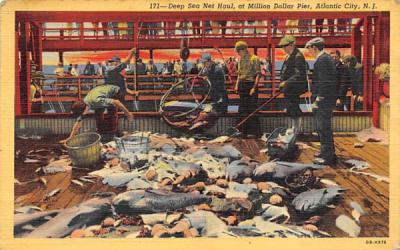 Deep Sea Net Haul, at Million Dollar Pier Atlantic City, New Jersey Postcard
