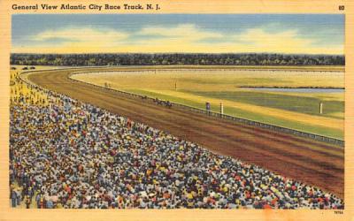 General View Atlantic City Race Track New Jersey Postcard