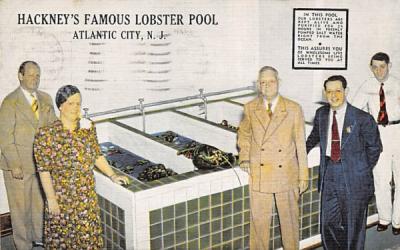 Hackney's Famous Lobster Pool Atlantic City, New Jersey Postcard