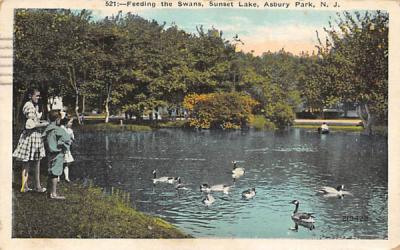 Feeding the Swans, Sunset Lake Asbury Park, New Jersey Postcard