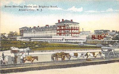 Scene Showing Ponies and Brighton Hotel Atlantic City, New Jersey Postcard