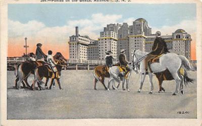 Ponies on the Beach Atlantic City, New Jersey Postcard