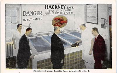 Hackney's Famous Lobster Pool Atlantic City, New Jersey Postcard